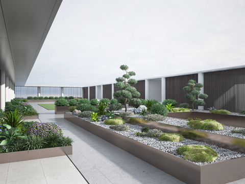 Modern Hotel Clubhouse Terrace Garden