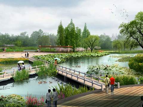 modern wetland corridor bridge lotus duck garden psd