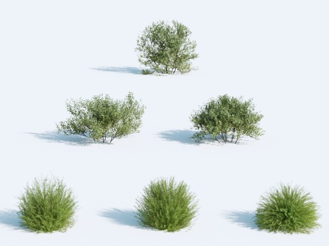 Landscape tree bushes