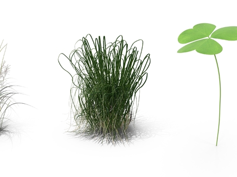 Reed grass hay four-leaf grass grass psd