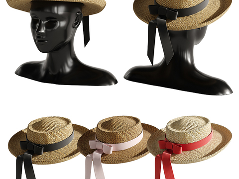 Modern Model Straw Hat