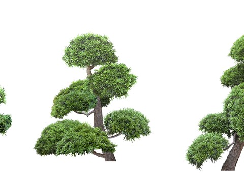 big trees trees landscape trees psd