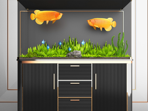 Modern fish tank aquarium