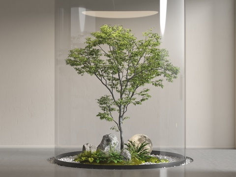 Interior Landscape Tree