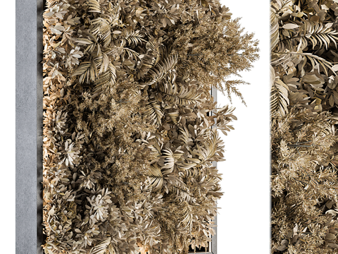 Modern Dried Flower Plant Wall