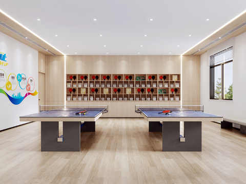 Table Tennis Room