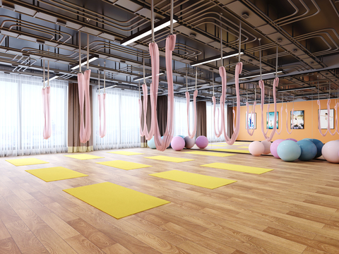 Modern Yoga Studio