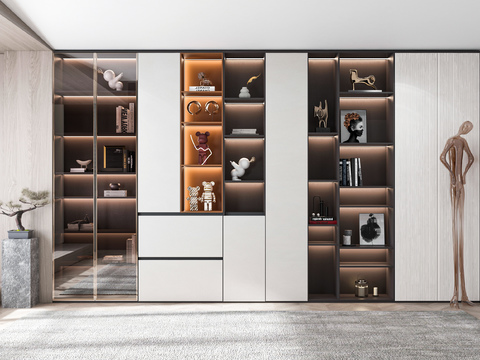 Modern Affordable Luxury Style Bookcase