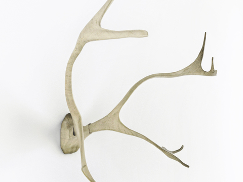 Nordic simple creative antler wall decoration free