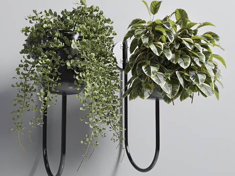 Modern Green Plant Hanging Basket