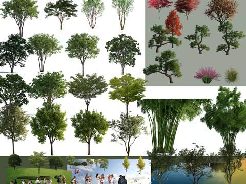 green plant big tree plant pedestrian lawn psd