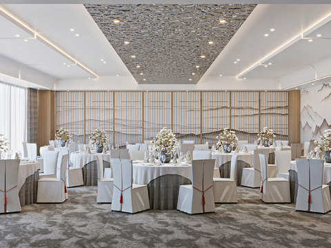 Modern Hotel Ballroom