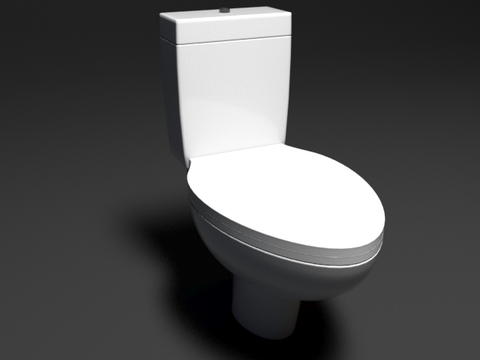 Modern toilet free