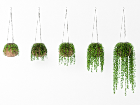 Modern hanging potted hanging basket