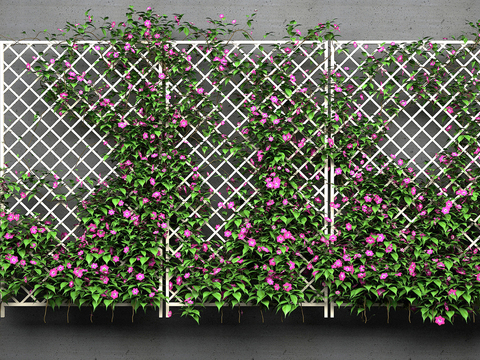 Modern Flower Rack Vine Plant