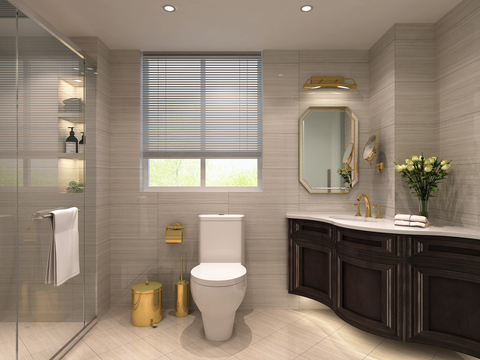 Affordable Luxury Style Toilet Bathroom Free