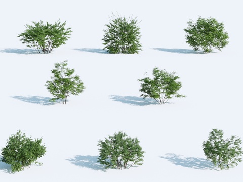 Landscape tree bushes