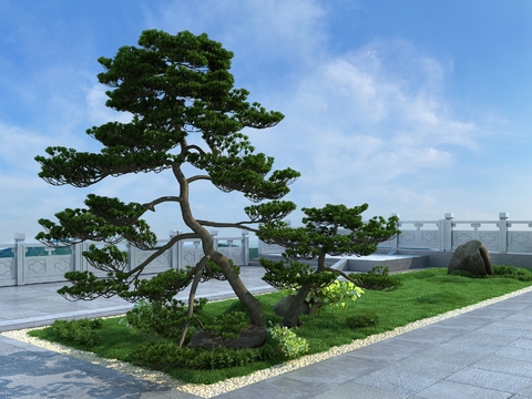 New Chinese Landscape Pine