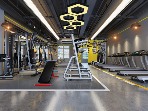 Modern Gym