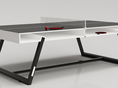 Modern Storage Table Tennis Table