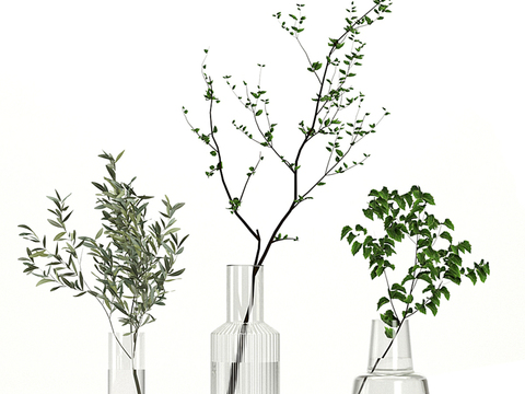 Modern Willow Hydroponic Vase