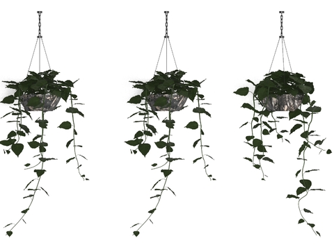 Modern Green Plant Hanging Basket Free