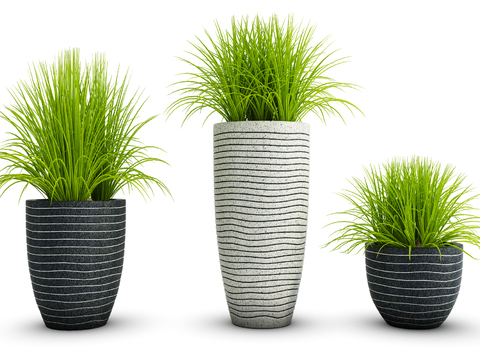 Modern plants potted free