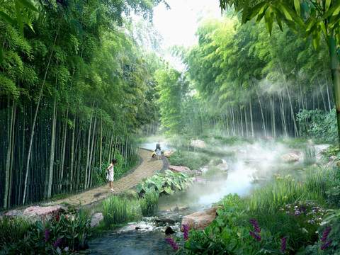 modern forest jungle river landscape psd