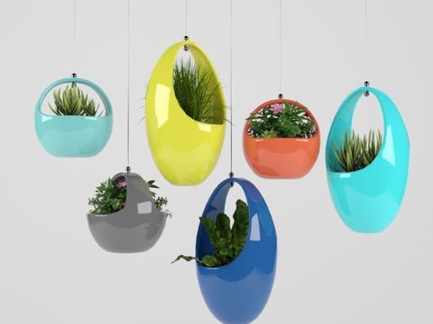 Modern Green Plant Hanging Basket Potted Plant Free