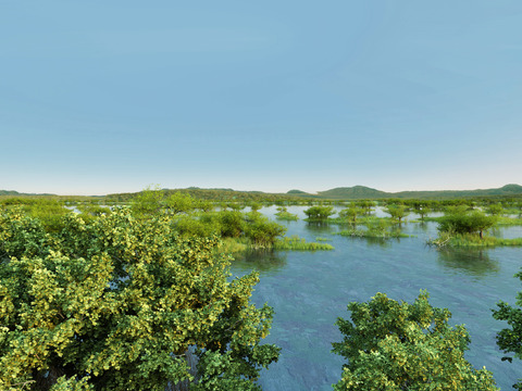 Modern Lake Wetland Waterscape