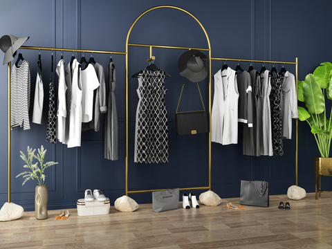 Modern Women's Clothing Hanger Shelf