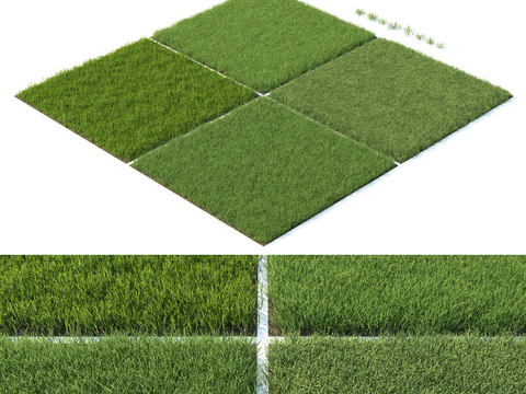 modern lawn