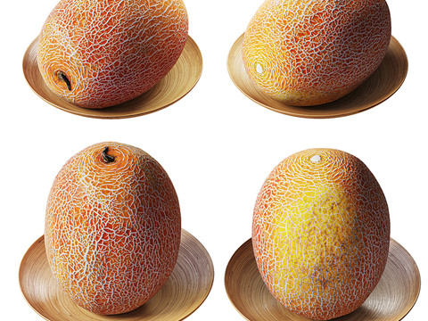 Modern Hami Melon Fruit