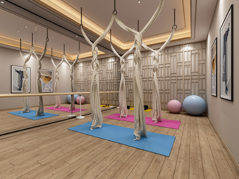 Modern gym Yoga Studio front desk free