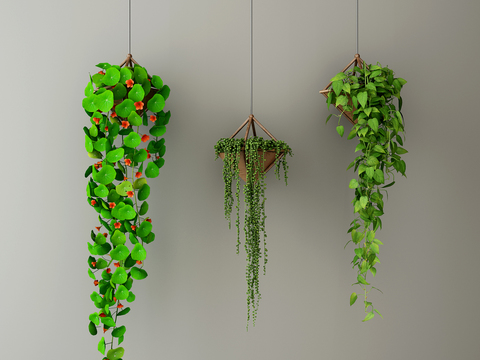 Modern Green Plant Hanging Basket