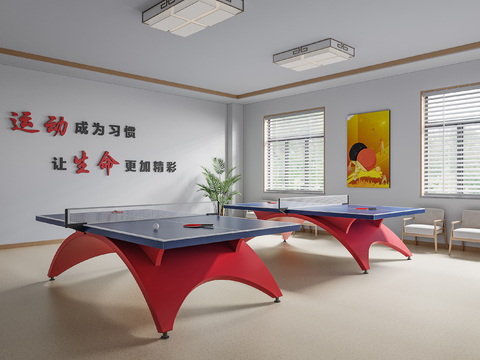 Table Tennis Room Activity Room