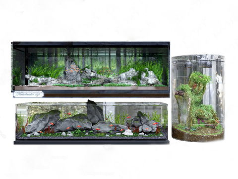 Modern Aquarium Fish Tank