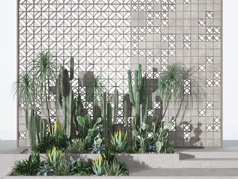 Modern cement wall cactus shrub sketch