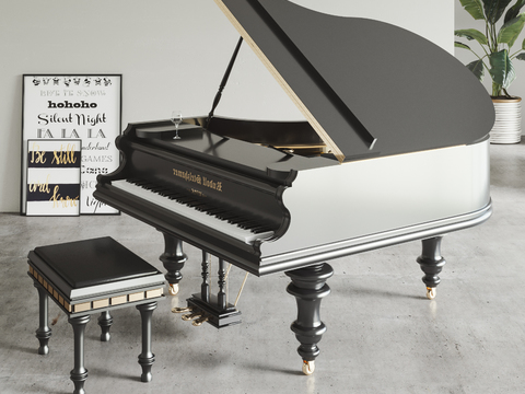 Modern Affordable Luxury Style Grand Piano