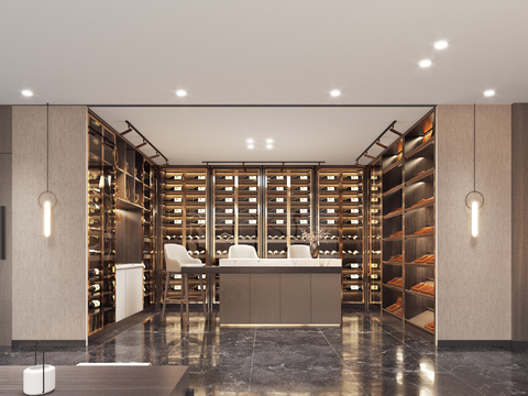 Modern Wine Cellar Wine Room