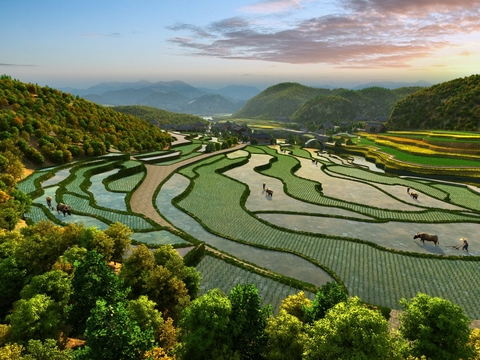 Natural wind terrace landscape