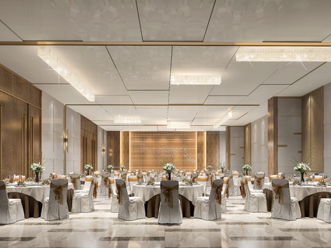 Modern Hotel Ballroom