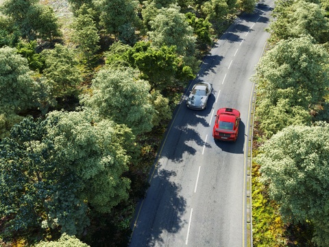 modern mountain forest road