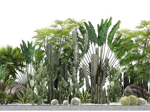 Modern Landscape Plants