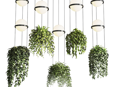 Hanging basket chandelier plant chandelier