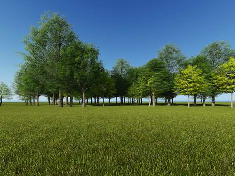 modern lawn big tree trees landscape tree psd