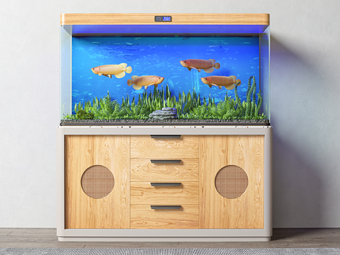 Modern Affordable Luxury Style Fish Tank