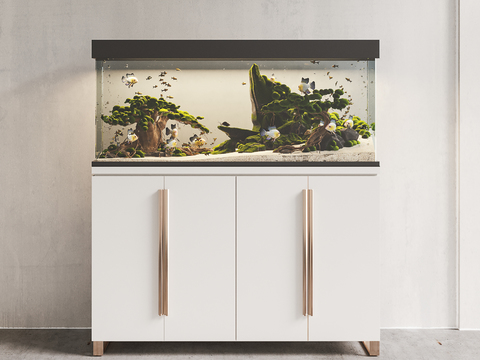 Modern fish tank aquarium