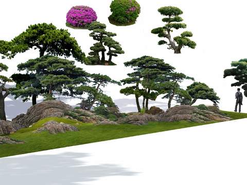 modern pine green planting grassland psd