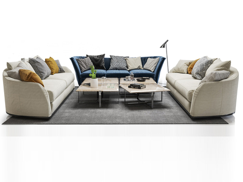 Modern Affordable Luxury Style Creative Sofa Combination Free